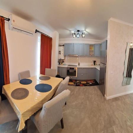 Apartament Gabriela Baia Mare Zewnętrze zdjęcie