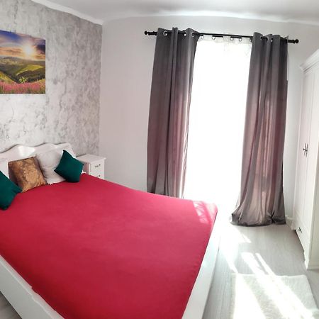 Apartament Gabriela Baia Mare Zewnętrze zdjęcie