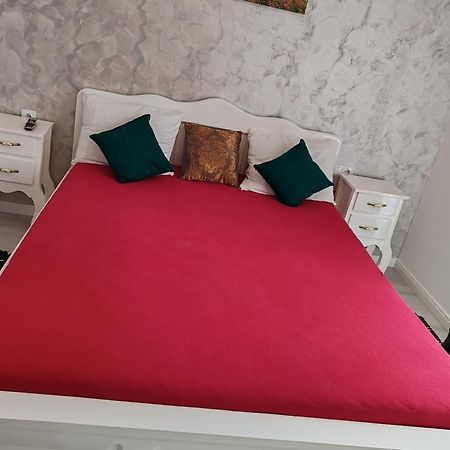Apartament Gabriela Baia Mare Zewnętrze zdjęcie