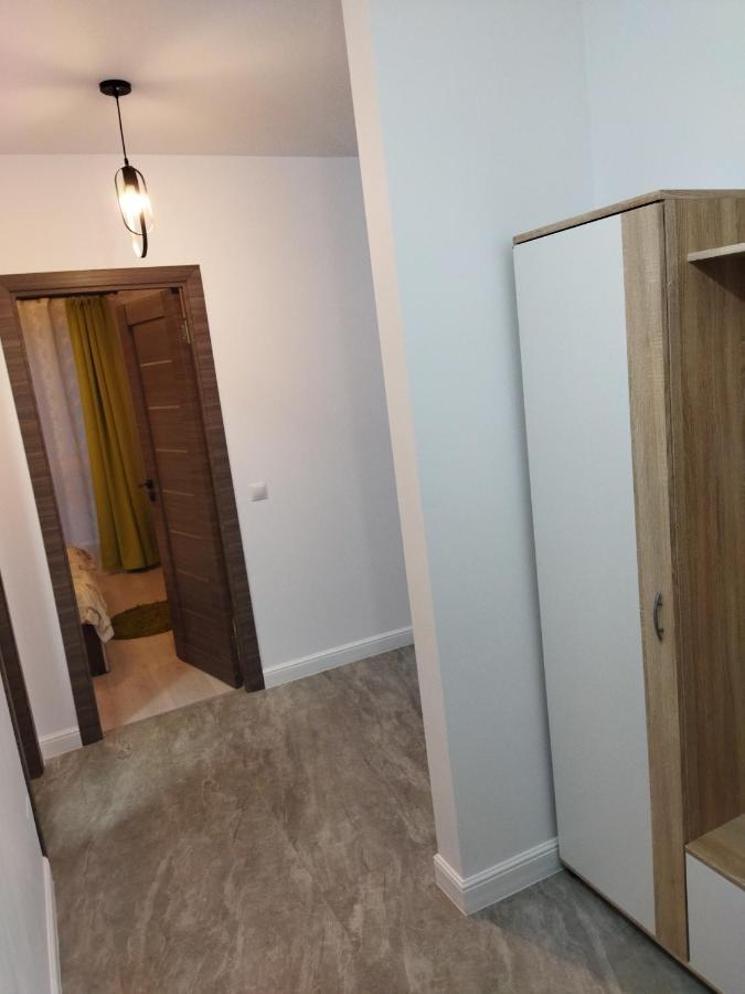 Apartament Gabriela Baia Mare Zewnętrze zdjęcie