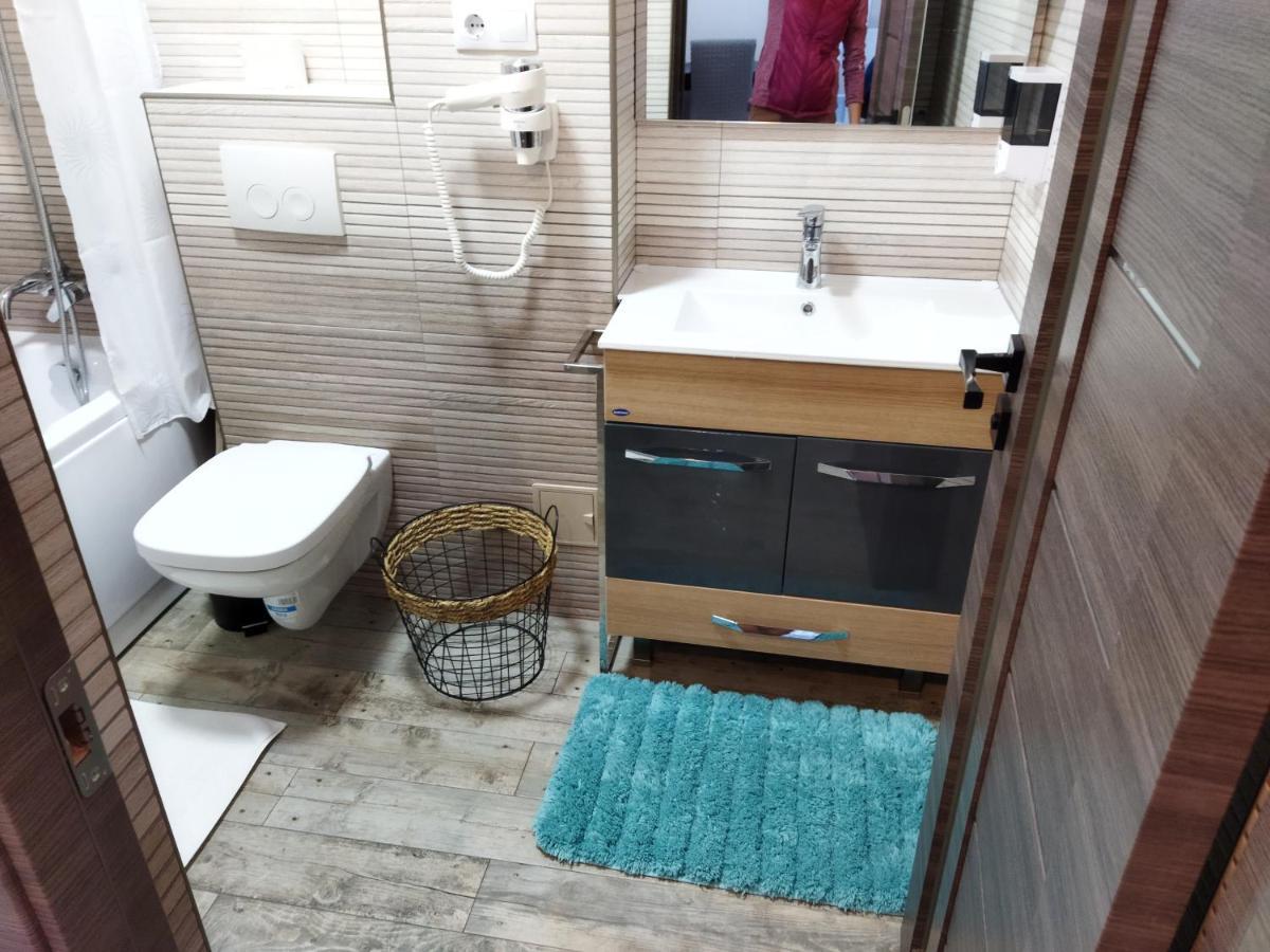 Apartament Gabriela Baia Mare Zewnętrze zdjęcie