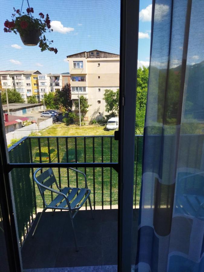 Apartament Gabriela Baia Mare Zewnętrze zdjęcie