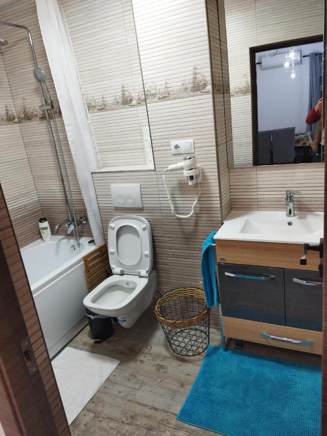 Apartament Gabriela Baia Mare Zewnętrze zdjęcie