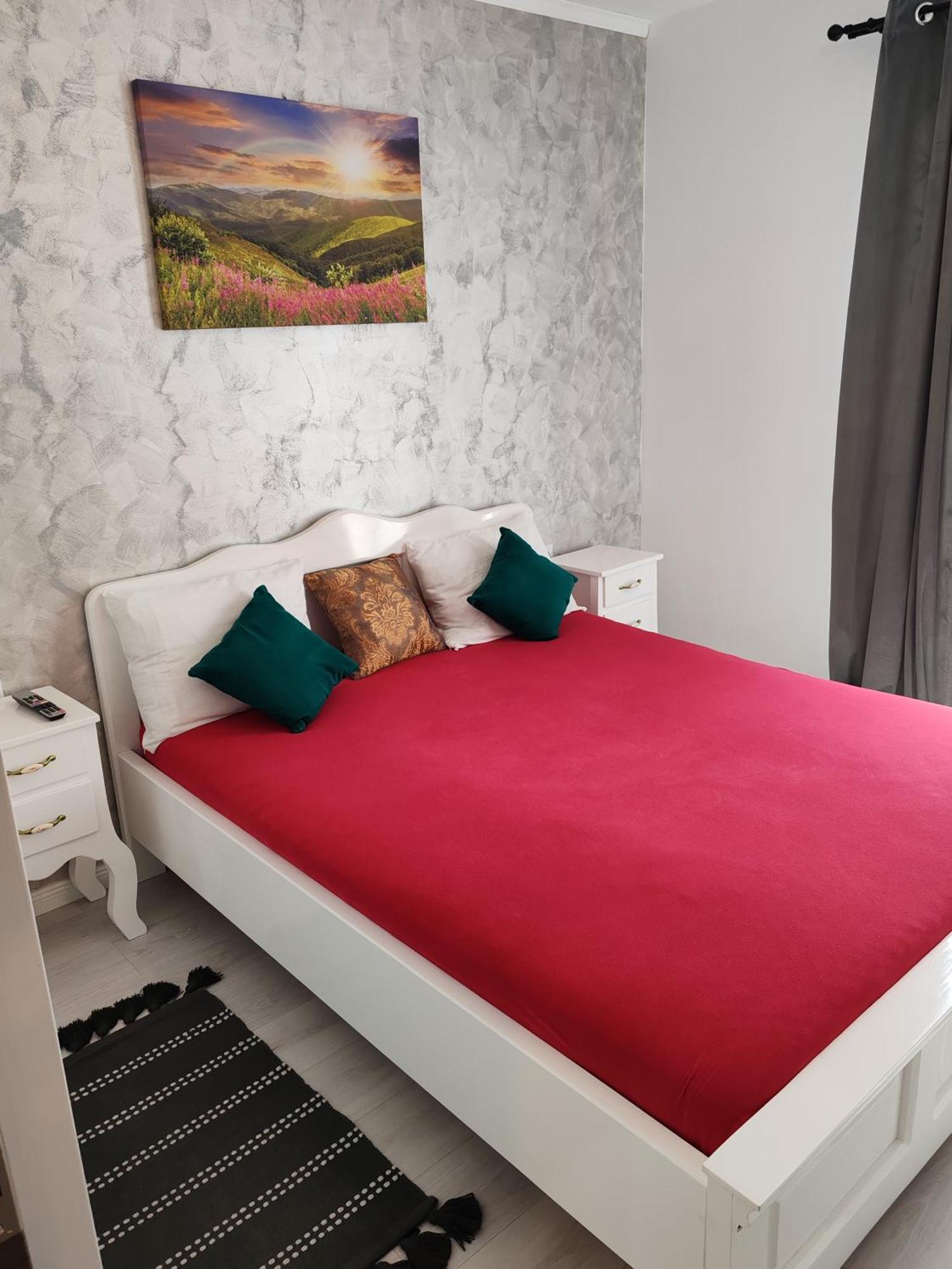 Apartament Gabriela Baia Mare Zewnętrze zdjęcie